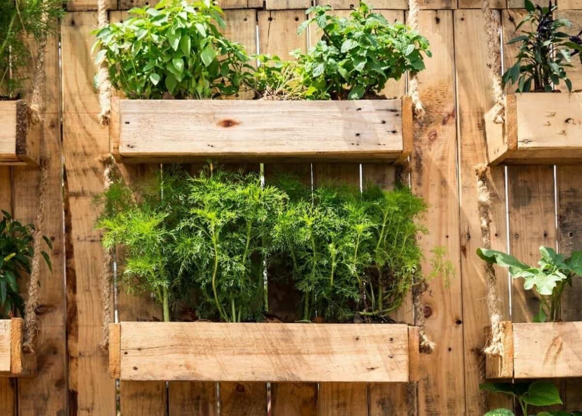 The Best Places To Put A Vertical Garden With Examples Smarter Home Gardens
