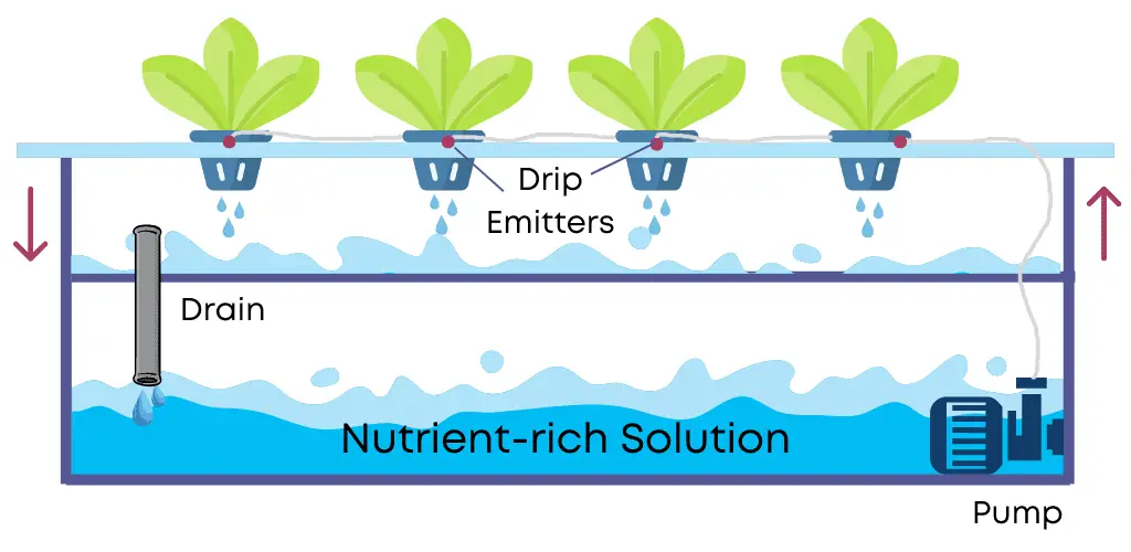 The Different Types of Hydroponic Systems (With Diagrams) - Smarter ...